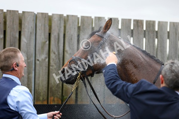 210824-Race 4-City Of Troy-7326 - Race 4 3.35pm Juddmonte International Stakes