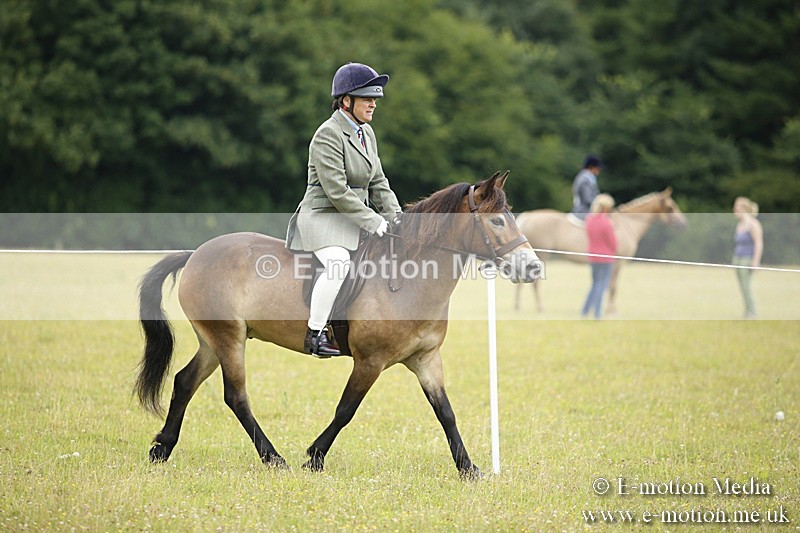 BVR160717-56 - Ring 1 BVRC Show 16/07/17