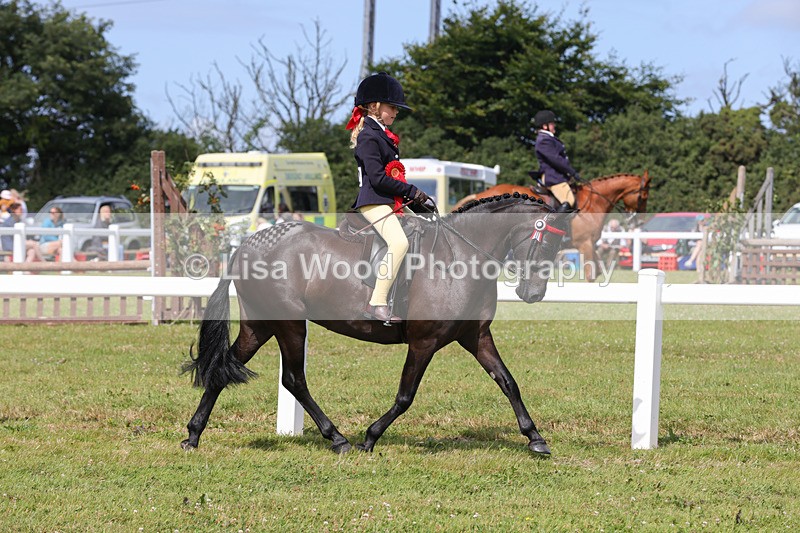 1X9A3817 - Plaited Mini Ridden Championship