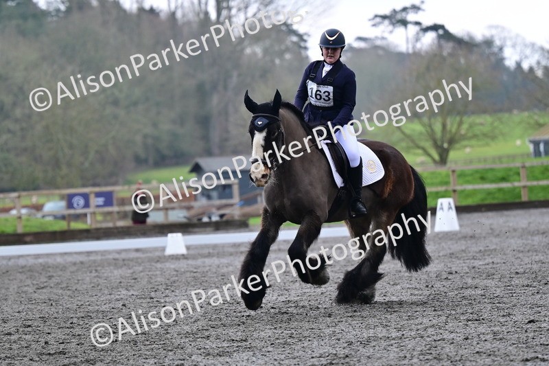 20260125-3814 - Class 12 - Novice