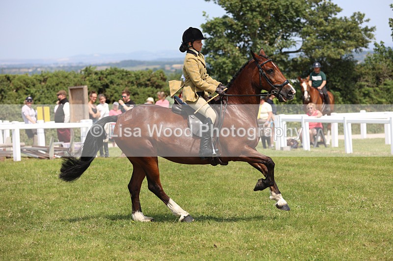 JPP_3254 - Class 22: Working Hunter 70cm