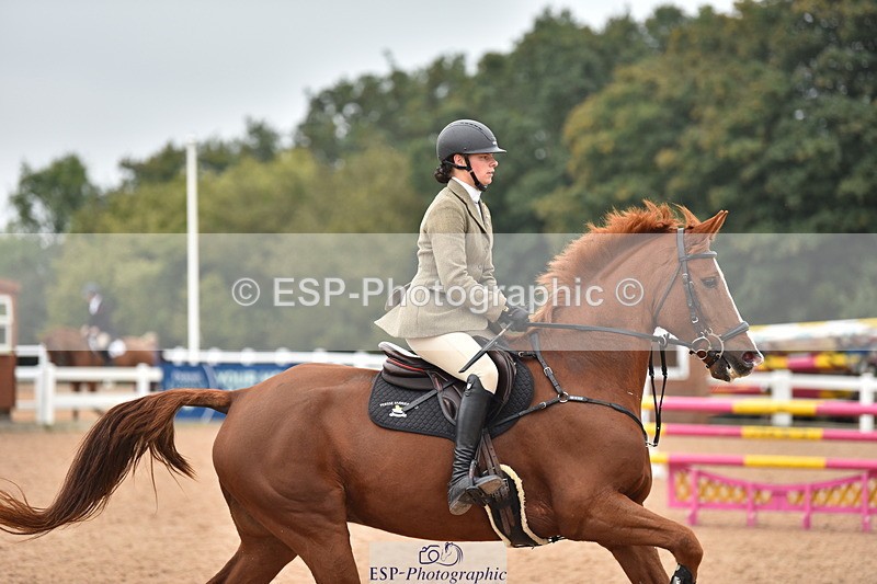 231011A-141116-00662 - Cls 5 Foxhunter & 1.20m Open