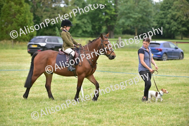 20260614-4514 - Class 19 - Cutest Pony, Rider and Dog Combination