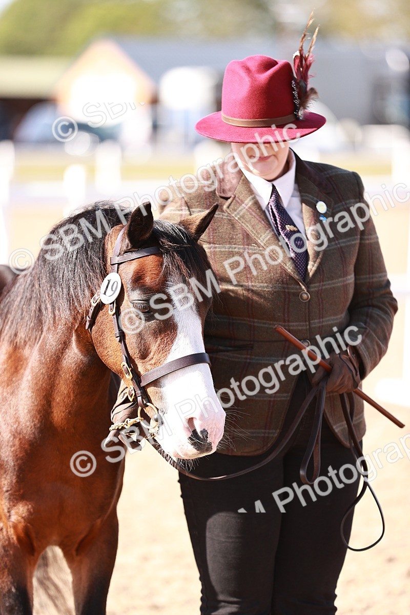 SBM_22719 - Class 704 - IH  Rescue