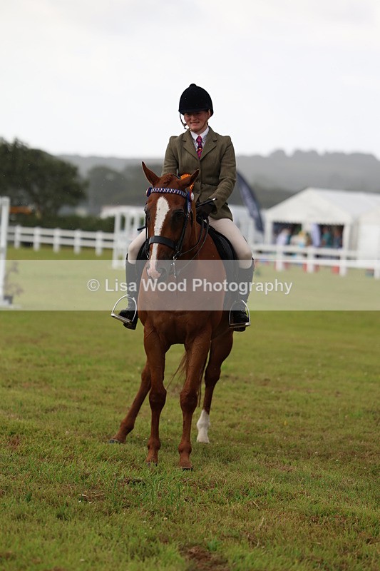 3E7A7951 - Class 1: Rising Star Small Hack/Riding Horses