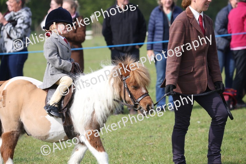 20260426-0307 - Class 30 - Tiny Tots Lead Rein