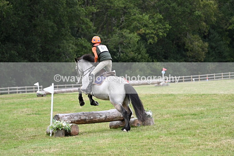 WJ7_8688 - 60cm Time 12:31 to 12:50