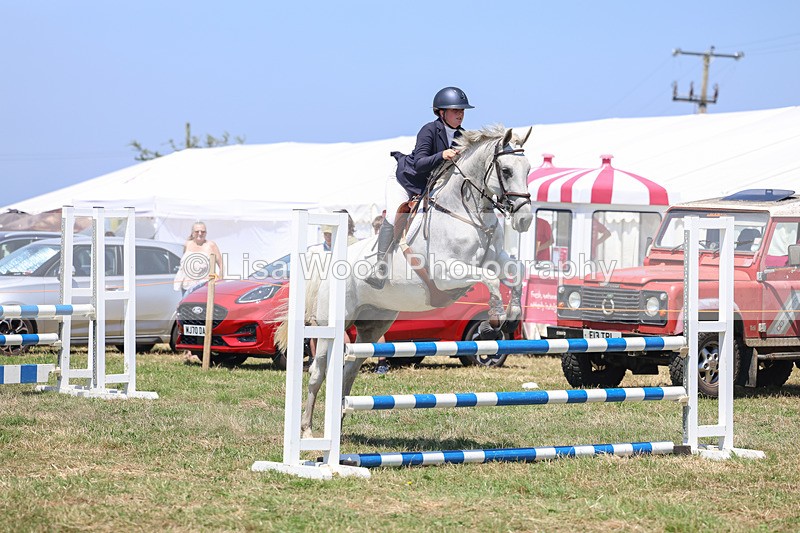 3E7A4395 - Class 10: Senior British Novice/90cm open
