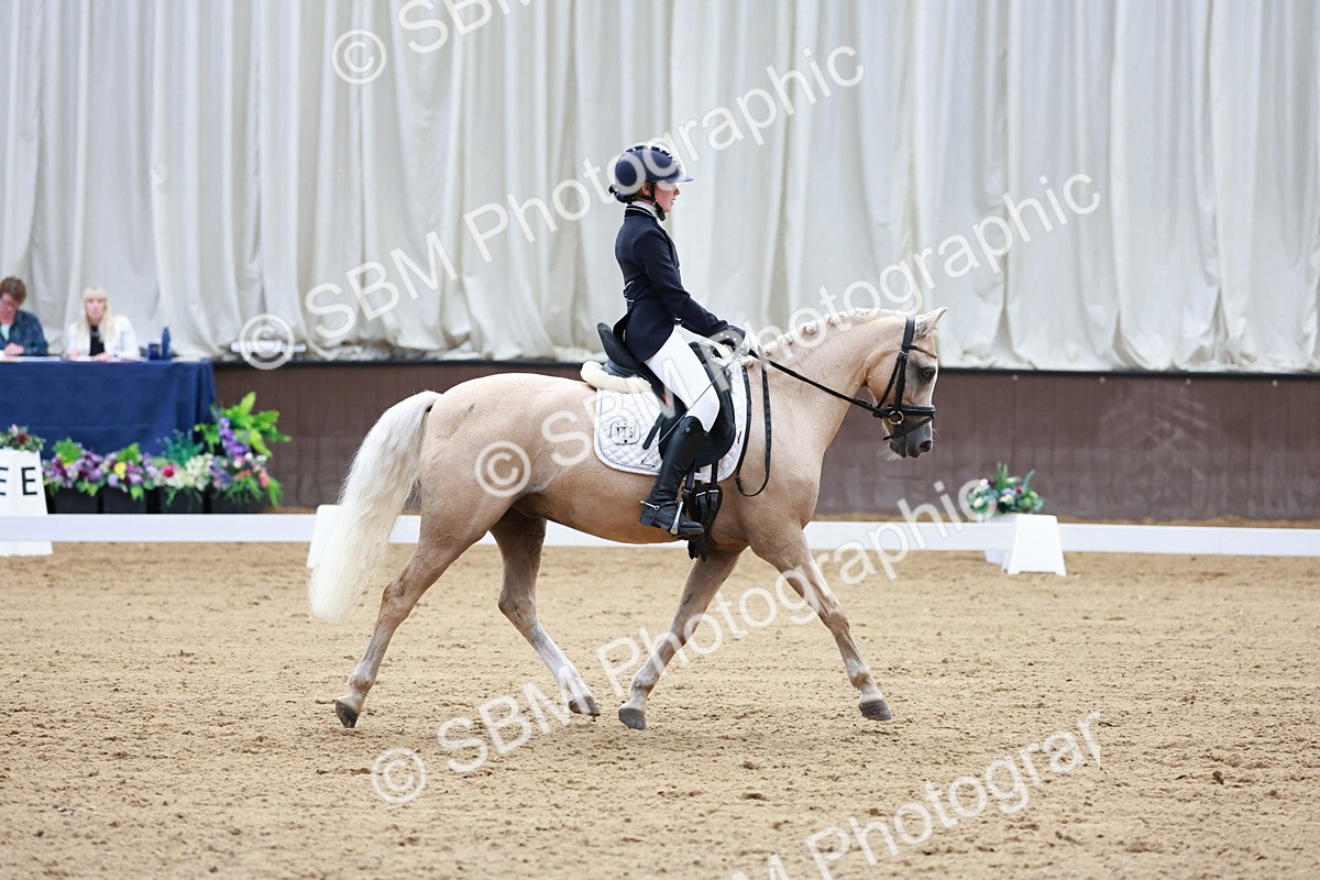 SBM_017380 - Class15 - FEI Pony