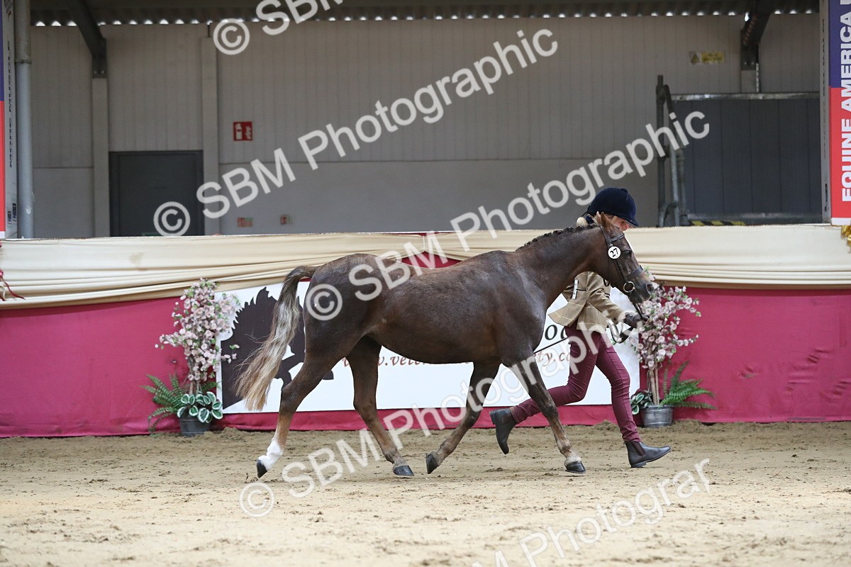 SBM_04307 - Class 7R Regional - IH Diamond