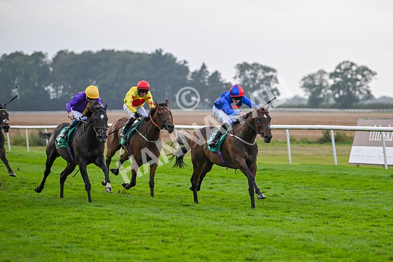 070924-Race 8-Desert Falcon-8074 - Race 8