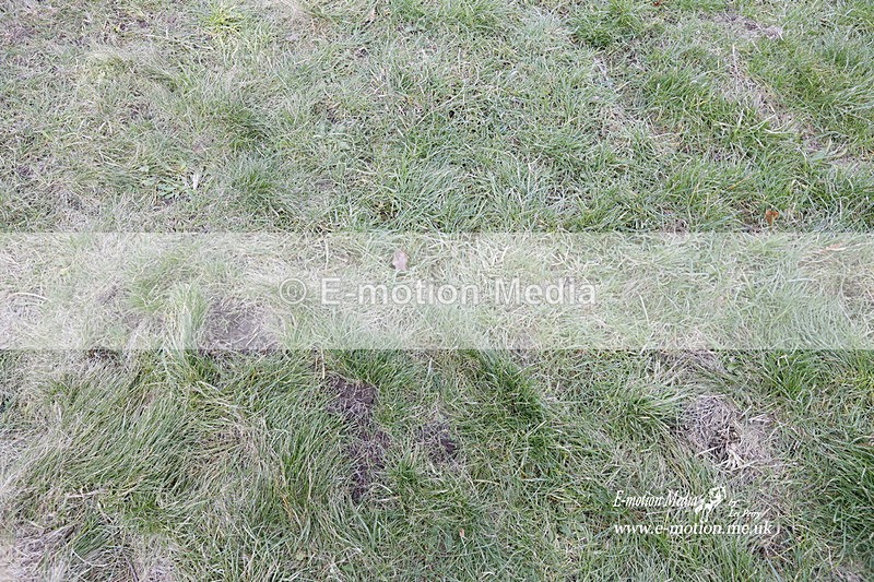 PtP 290123 0905 - Combined Services Point-to-Point  Presentations 05/02/23