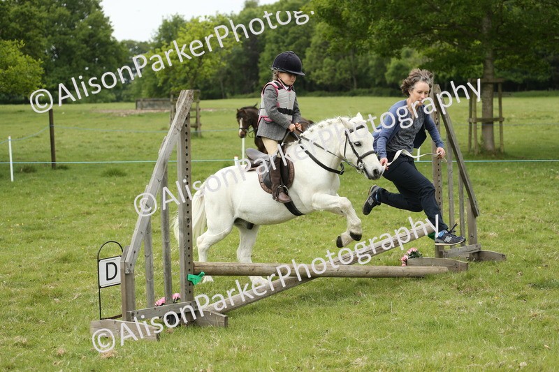 20250517-0561 - Class 20 - Beginners Working Hunter
