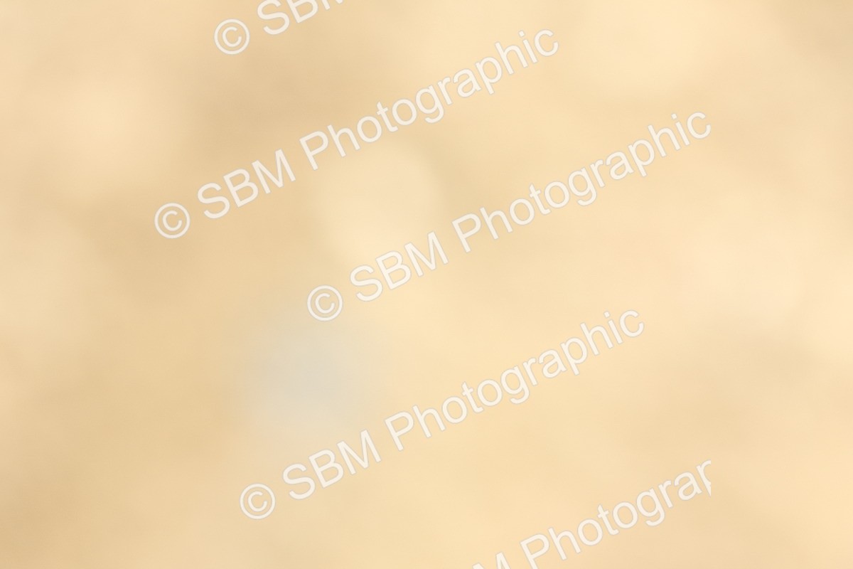 SBM_007887 - Class 77 - 1.10m