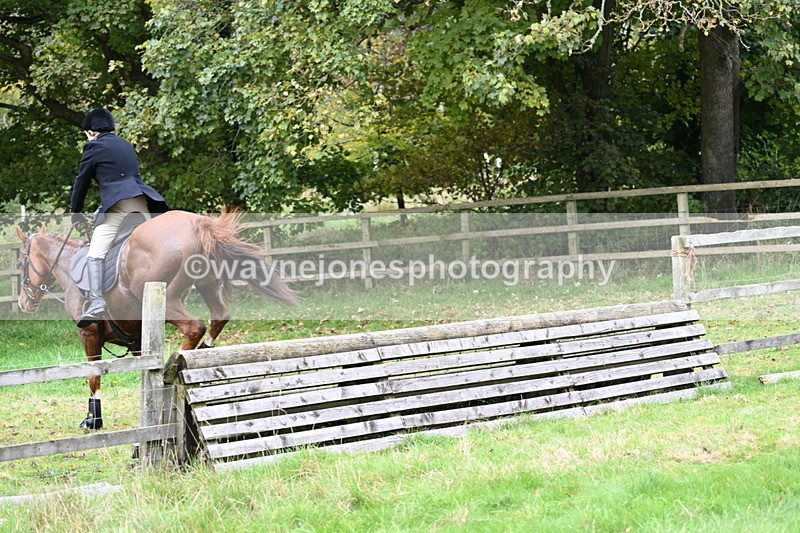 WJ7_4702 - Camera 1 Line 3