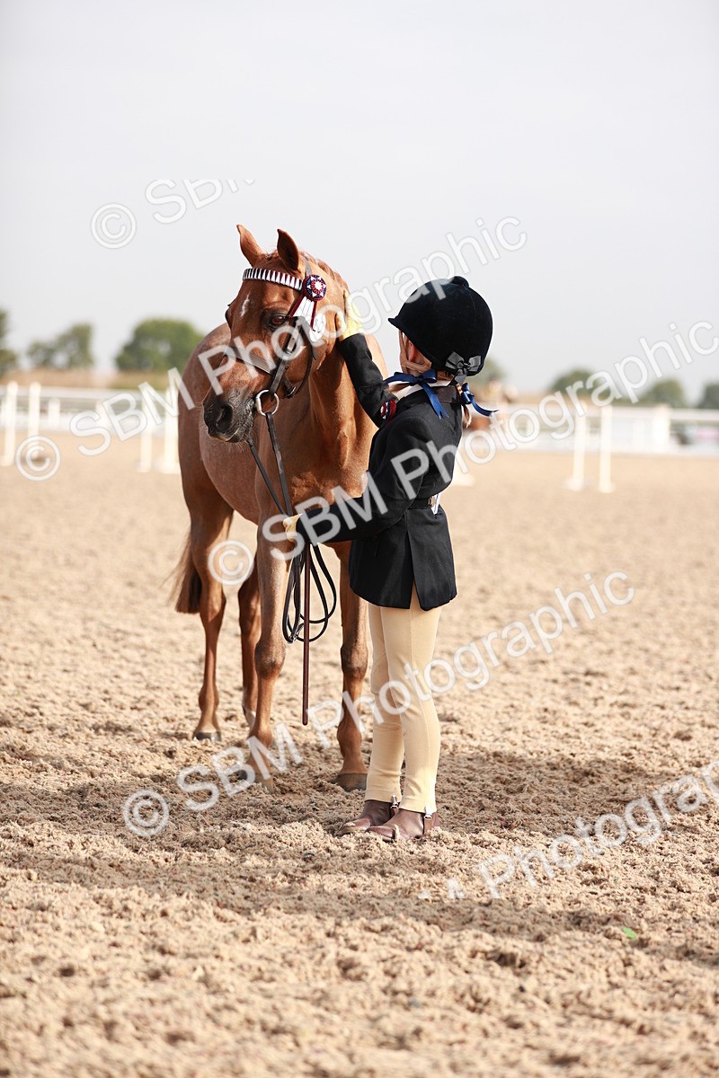SBM_09918 - Class 203 Young Handler, 10 years and under