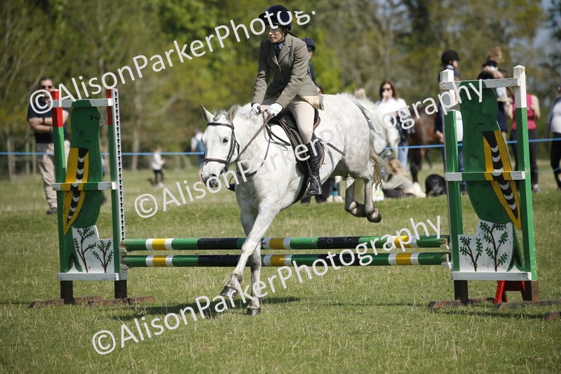 20250427-2069 - Class 13 - Novice Jumping 60cm