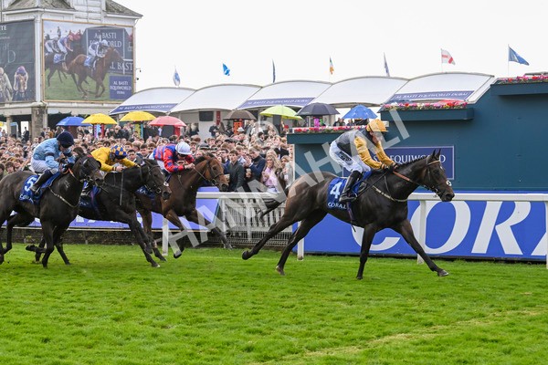 121024-Race 1-Jungle Drums-2574 - Race 1 1.30pm Coral Rockingham Stakes