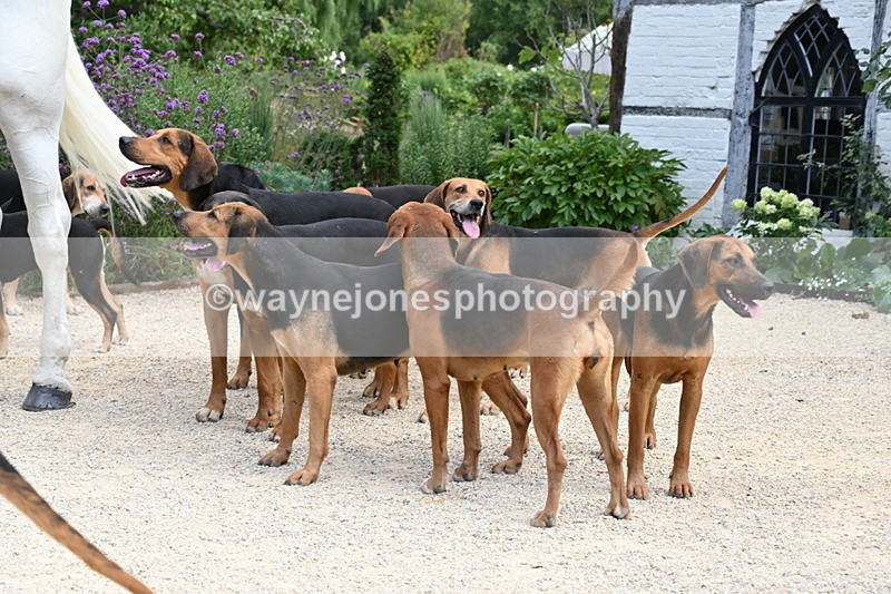 WJ6_3839 - Berks & Bucks - The Old farmhouse - Hound Exercise 20-08-25