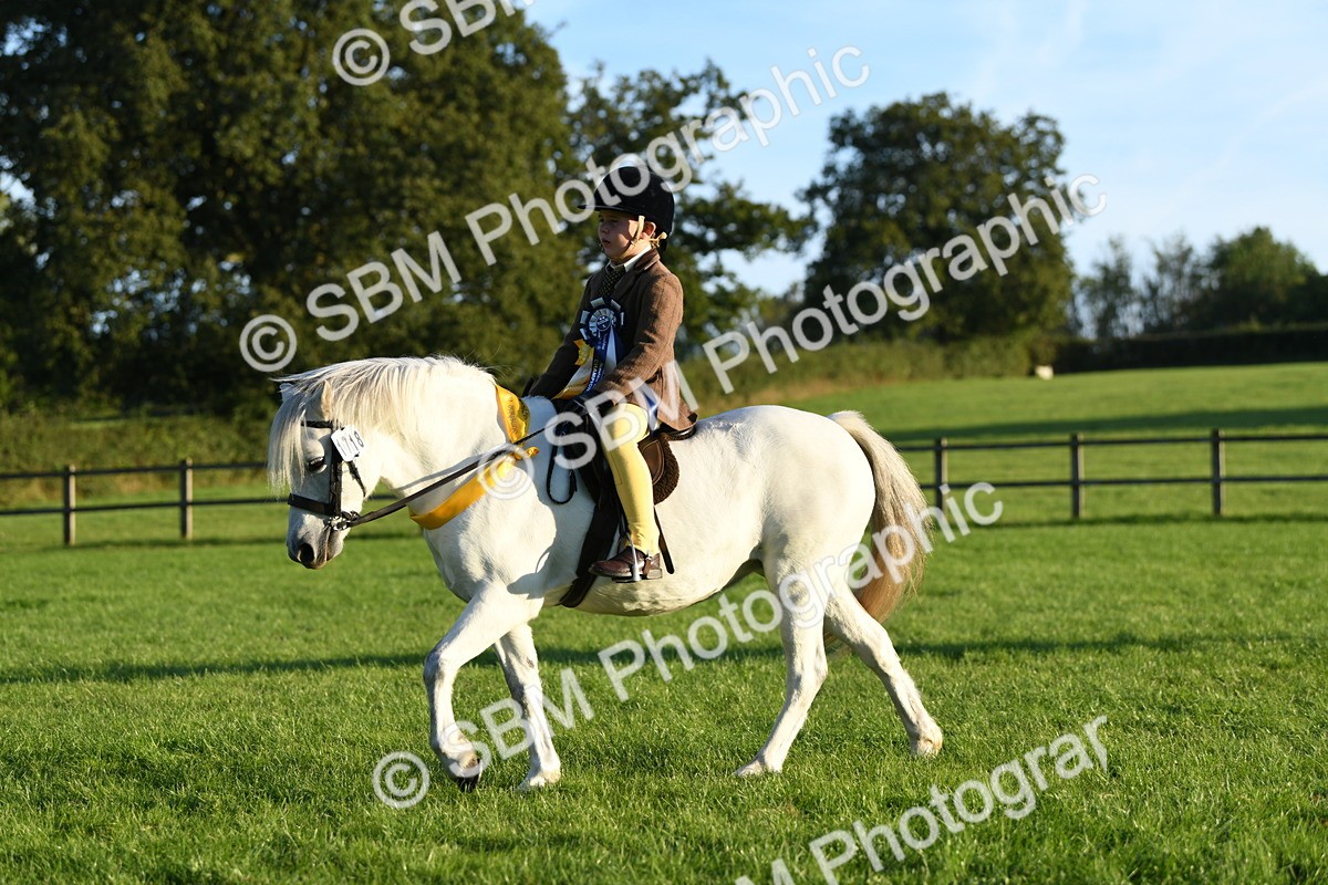 SBM_56491 - 1st Ridden Supreme Championship