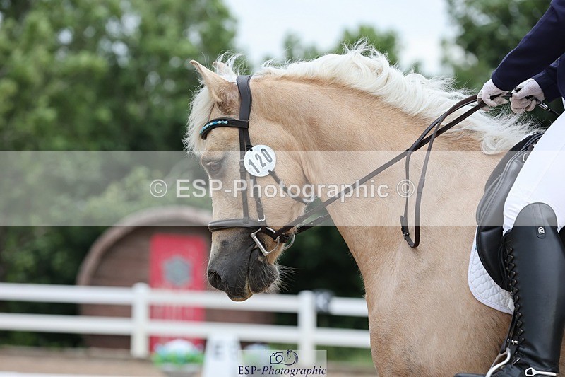 250621-082925-05839 - Cls 25 - Freestyle Preliminary