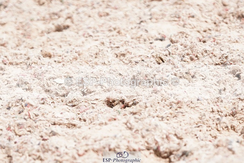 250622-104658-13405 - Cls 52 FreeStyle Elementary Inc Presentations