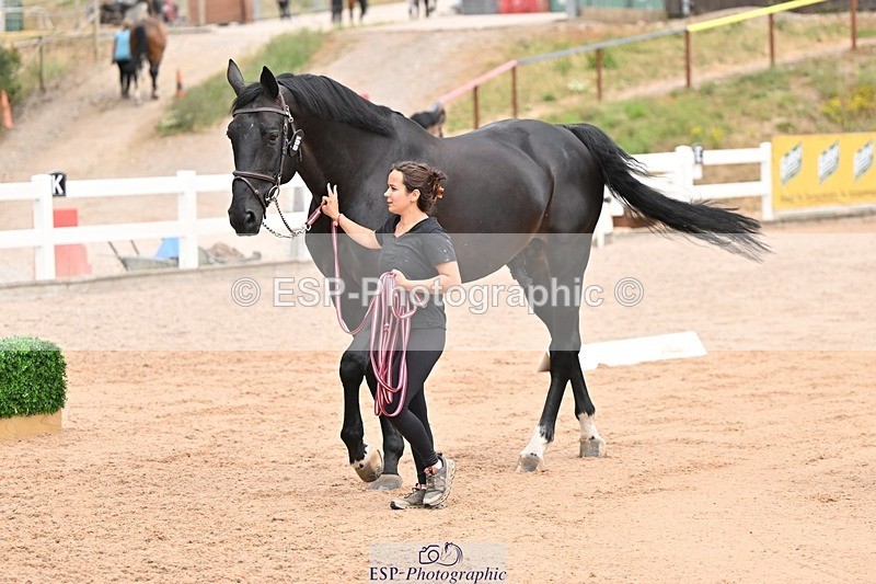 250716-150942-01708 - Trot Up 2.30 to 3.30