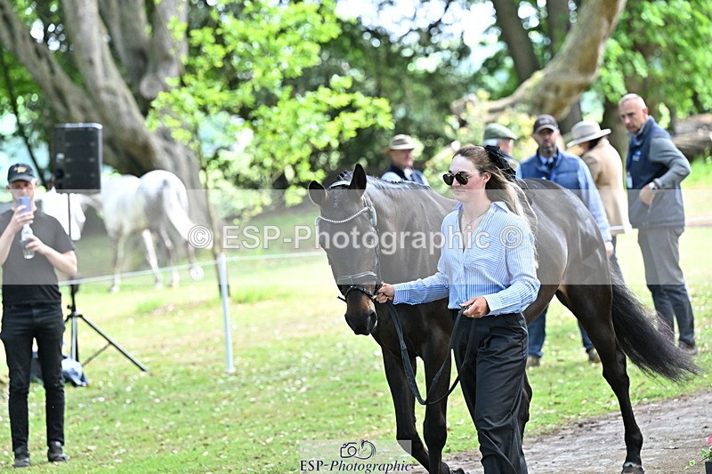 250521A-153143-00570 - B-316-Jasmine.Holmes-ARENT.I.LUCKY