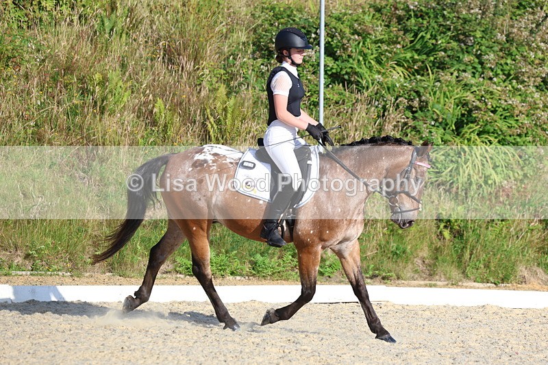 3E7A3616 - Class 2: Intro 1 2024 Section B