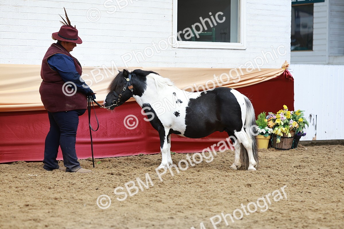 SBM_17586 - Class 951 - M&M IH Supreme Final