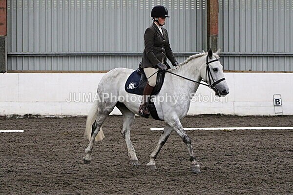 SIAL4239 - CAbin Dressage 5th july 2025