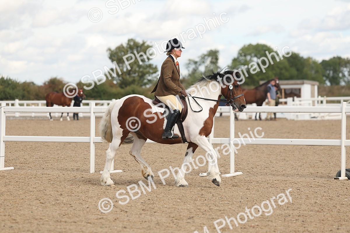 SBM_14644 - Class 307 - Ridden Coloured Pony