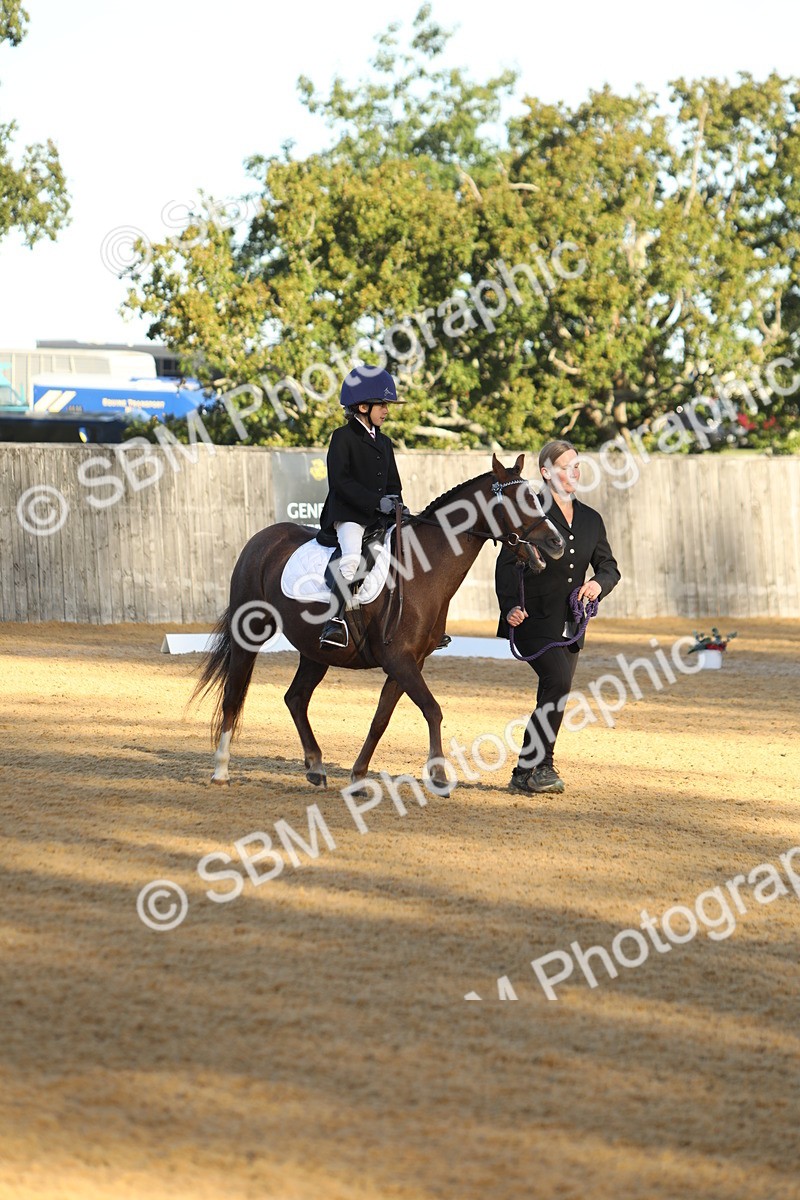 SBM_33657 - D26 - Starers - Lead Rein