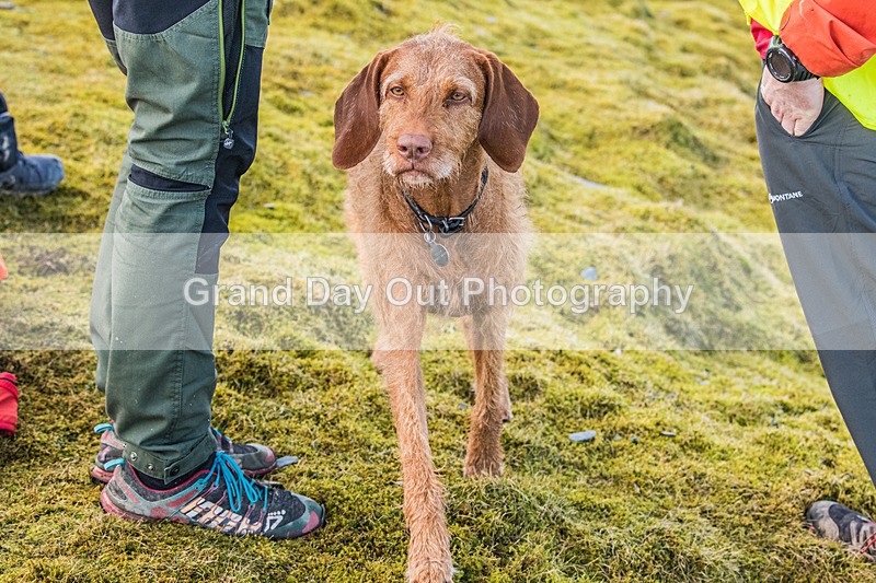 Coledale-14 - Coledale Horseshoe Fell Race Saturday 30th March 2024