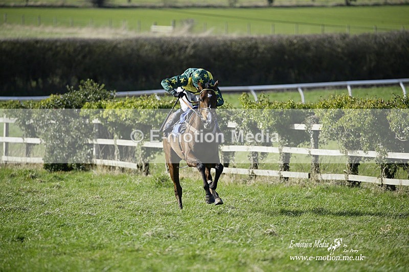 PtP 260222 102 - Kingston Blount Racing Club Point-to-Point 26/02/22