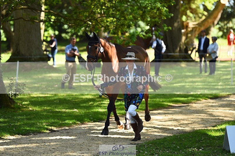 230524-152122-00219 - 324-DRUMGIVEN_MR_CHARISMA-Jeanette_Brakewell-WEDTrotUp+DR