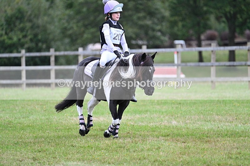 WJ7_7598 - 40cm Time 10:27 to 10:47
