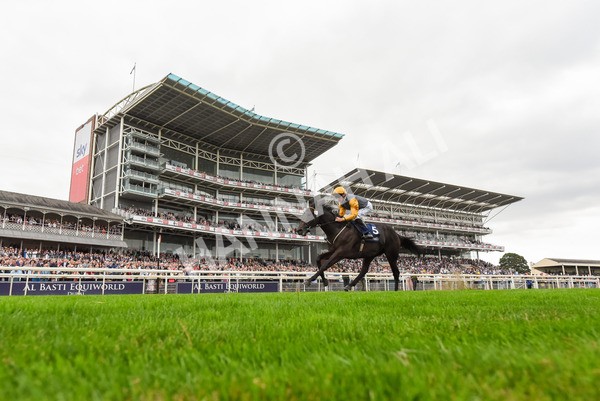 230823-Race 2-Indian Run-0926 - Race 2 2.25pm Tattersalls Acomb Stakes