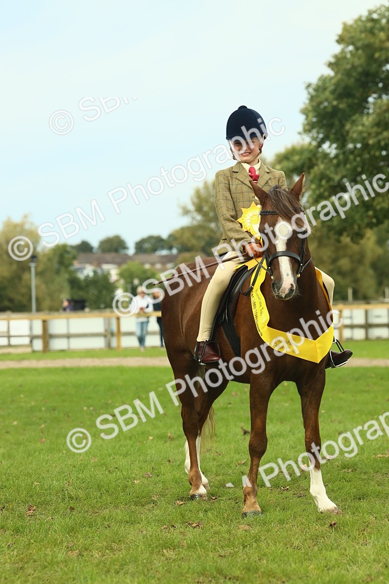 SBM_70026 - S59 - Mountain & Moorland Ridden Small Breeds