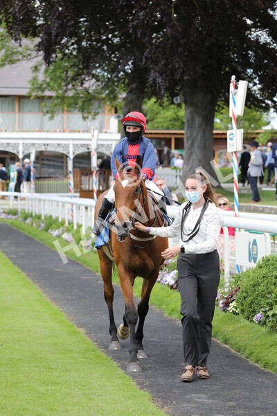 yr12062021r1-34 - Race 1 2.00pm Queen Mother's Cup