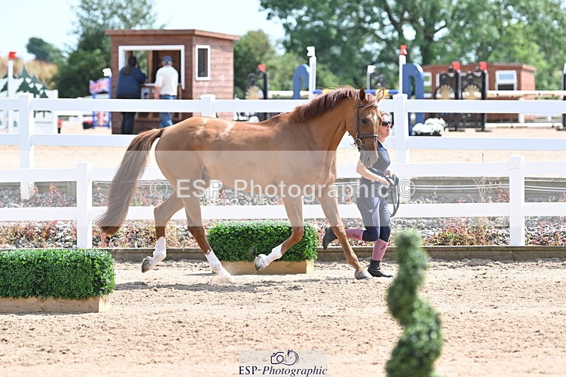 240717A-145955-02415 - Trot Up 2pm to 3pm - This folder is not in time order