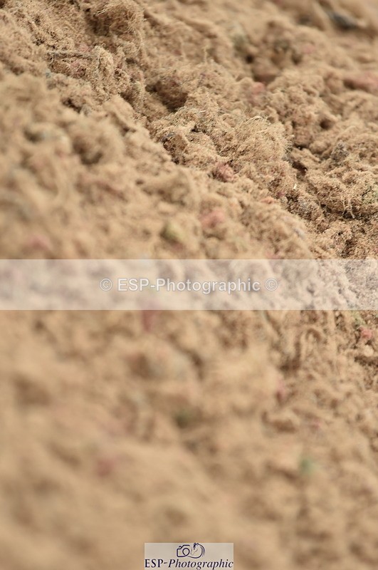 230611A-112742-04789 - Cls 33 95cm Amateur Qualifier