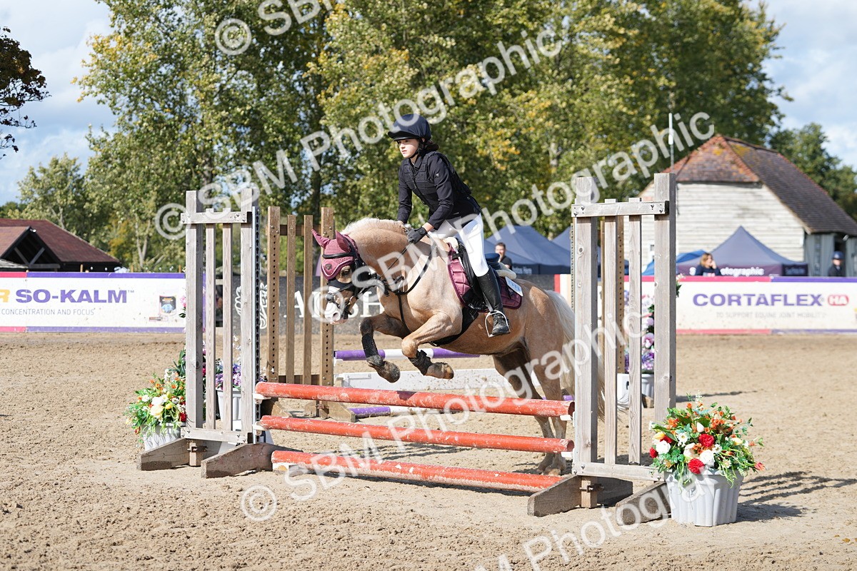 SBM_46676 - J7 - Junior Pony 60cm Championship