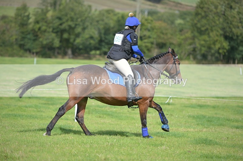 RAY_8955 - Class 2: Trekenning Open: Wall