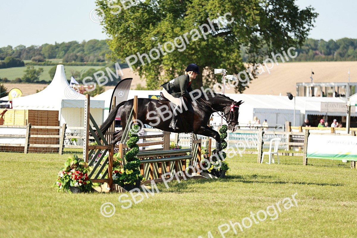 SBM_19186 - Class 115-116 - LIHS BSHA Rising Star Working Hunter & Show Horse