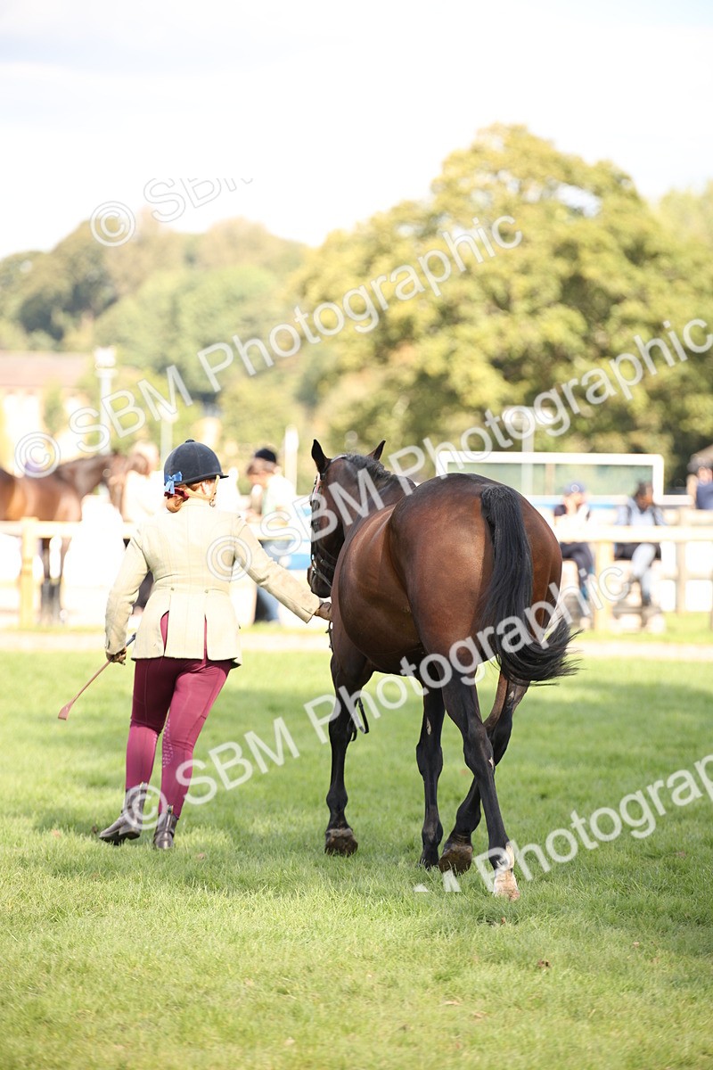 SBM_44427 - S24 - Young Veteran in hand