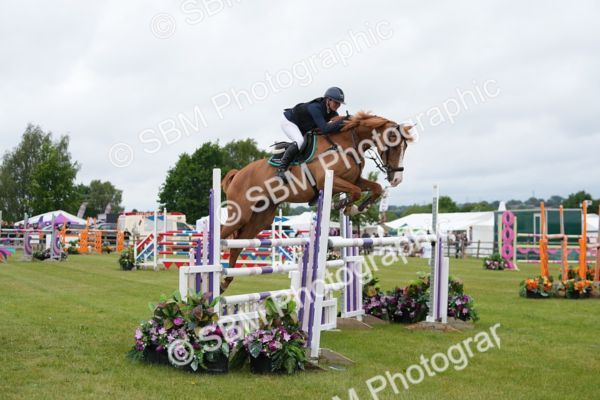 SBM_03282 - Class 201 - British Horse Feeds Speedi Beet Horse of the Year Show Grade  C
