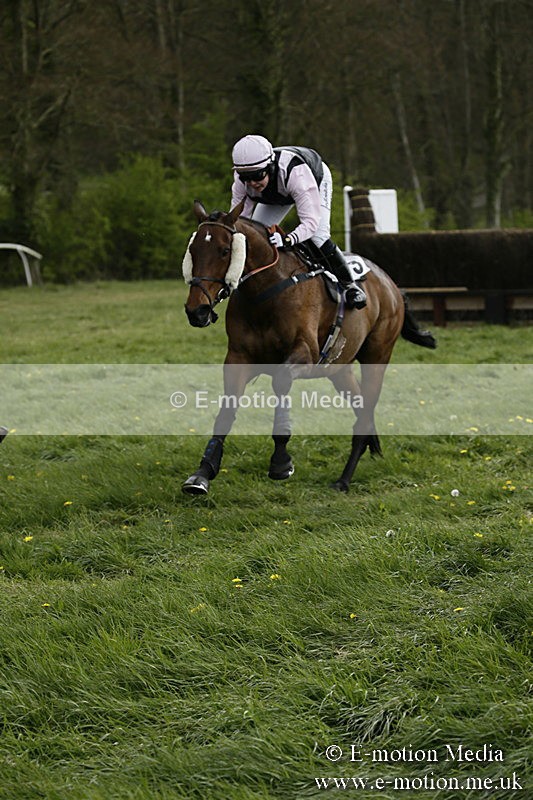 PtP 170417 181 - Old Berks Point-to-Point Lockinge 17/04/17