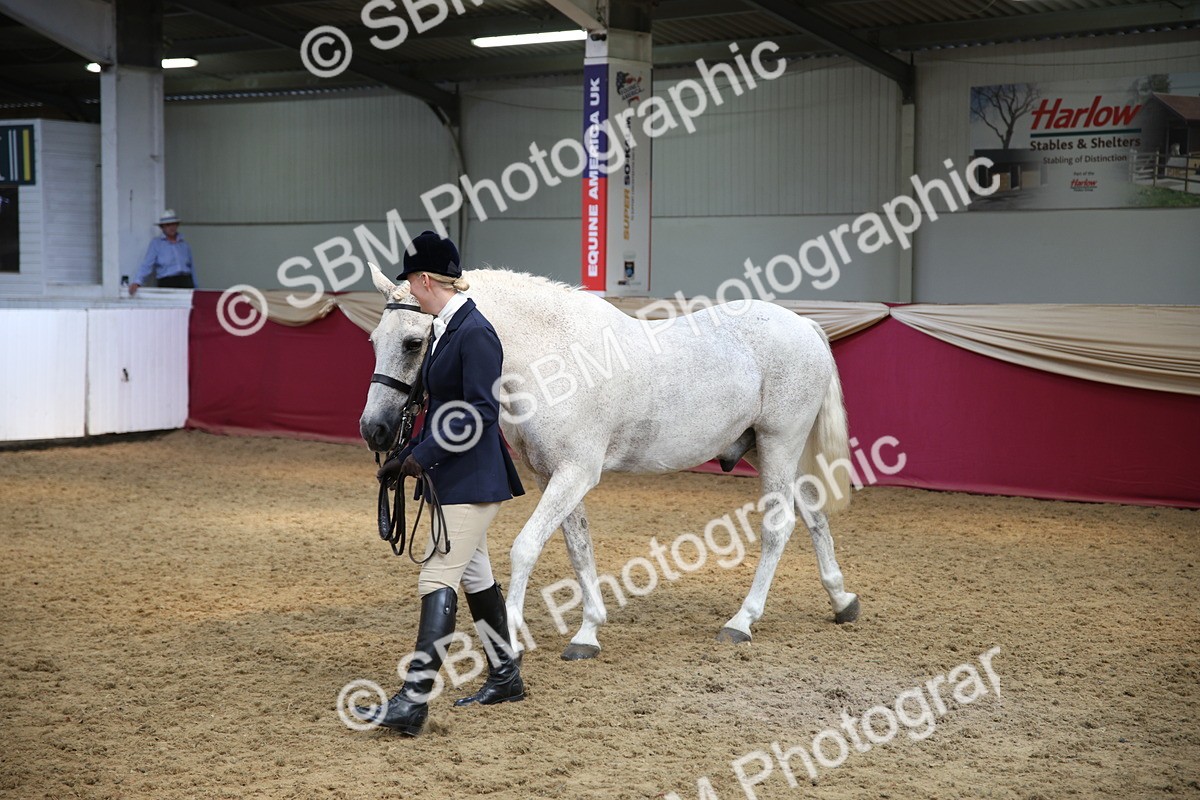 SBM_24293 - Class 905 - Supreme Final - Ridden Veteran