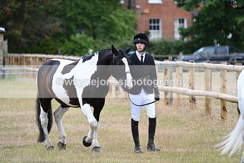 WJ7_9051 - Class 4a Prettiest Mare 14.2hh and over
